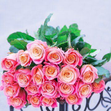 Букет из 21 розовой розы Мисс Пигги