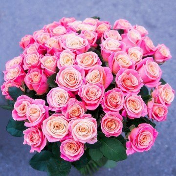 Букет из 51 розовой розы Мисс Пигги